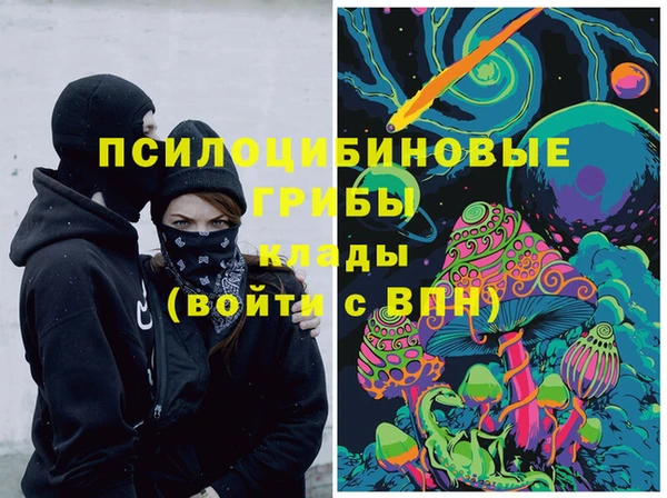 a pvp Алексин
