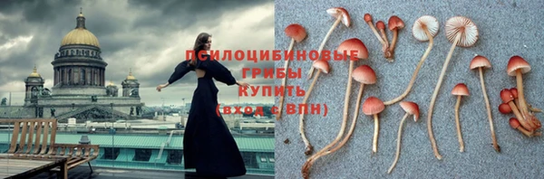 a pvp Алексин