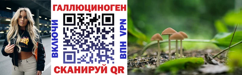 Псилоцибиновые грибы Psilocybine cubensis  площадка официальный сайт  Татарск  где найти  